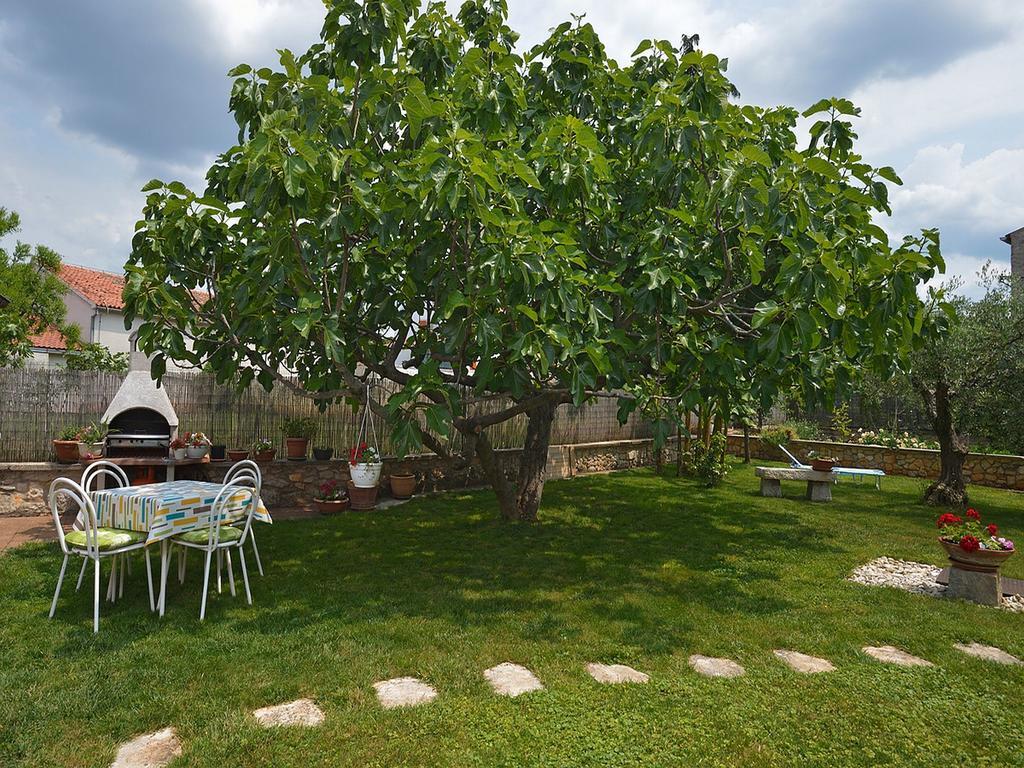 Apartment Vita Poreč Cameră foto